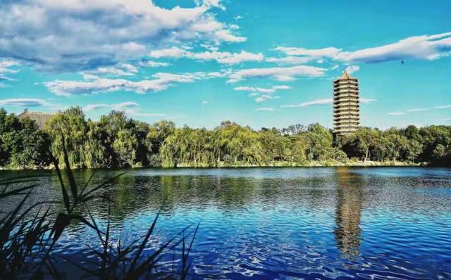 「密西西比大学」(世界十大名校大学)