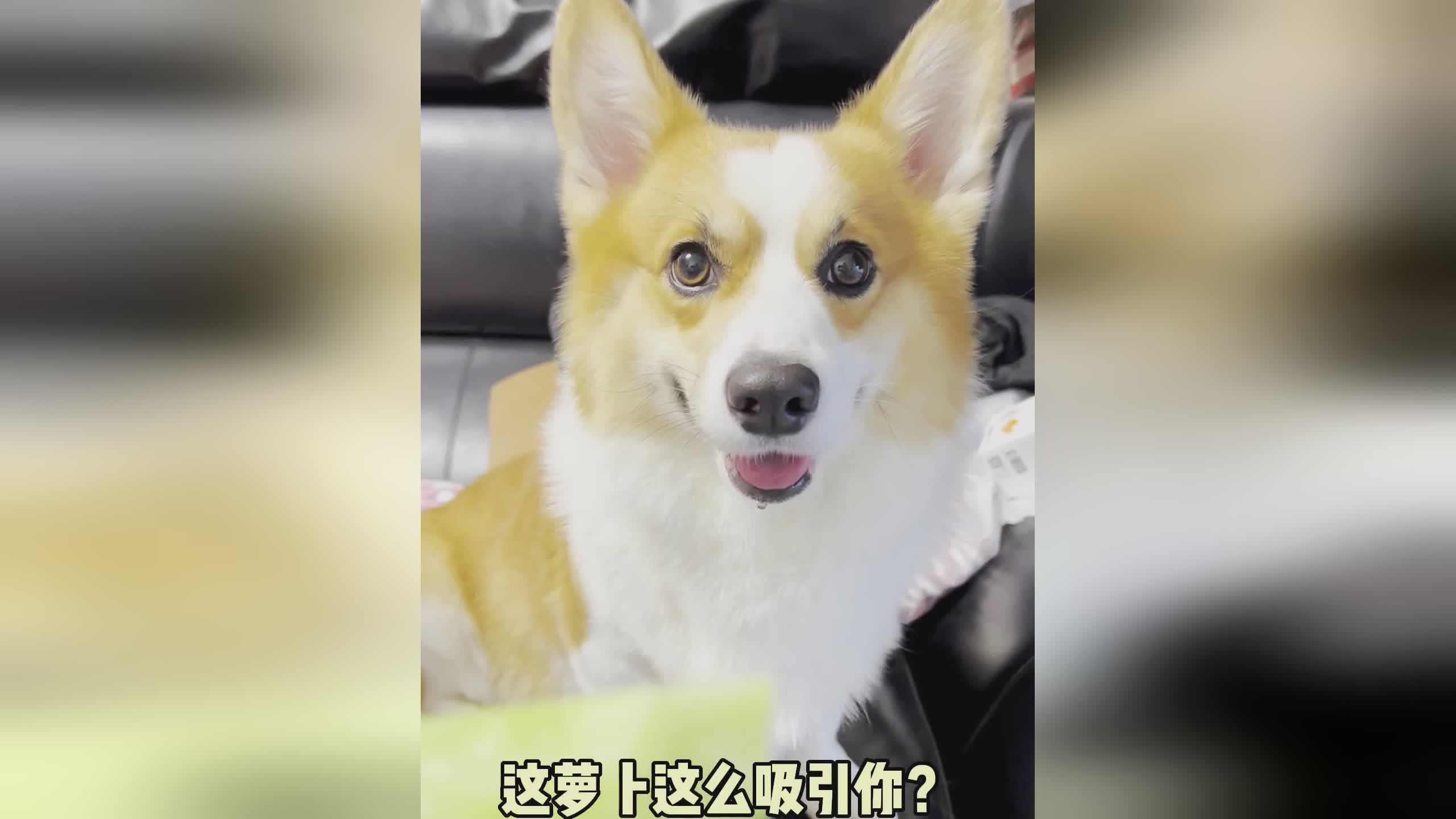恩尼斯坎特：没有在这个节骨眼上续约，伦纳德是个非常可靠的帮手
