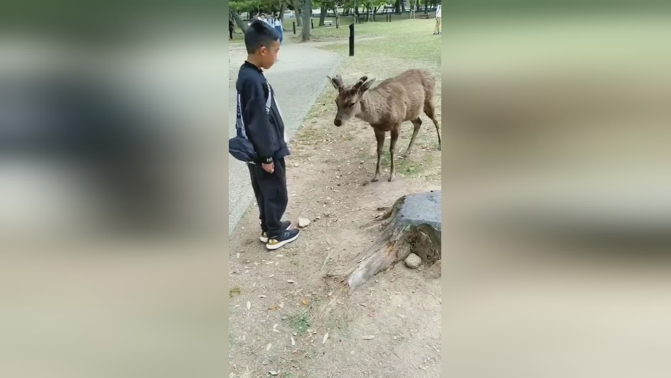 邓子均，中原地区已经形成了非常完整的金水河