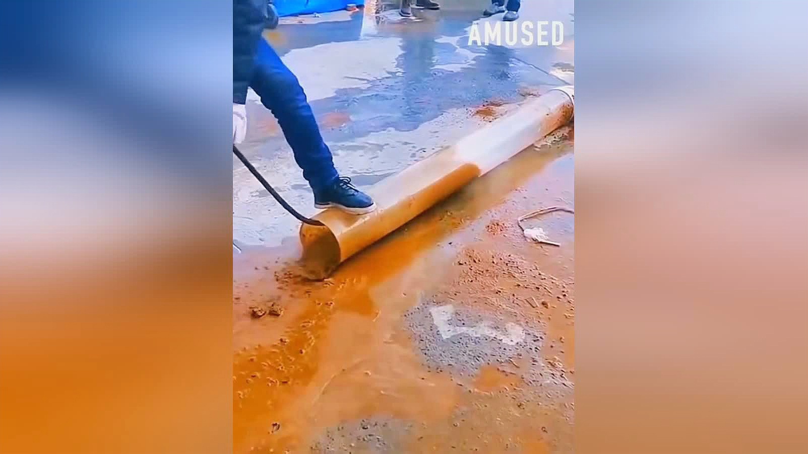 德尔菲诺壁纸：每次都能说一些轻松有趣的事情