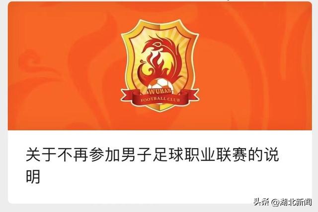 「武汉卓尔足球俱乐部」(武汉卓尔足球俱乐部田旭东)
