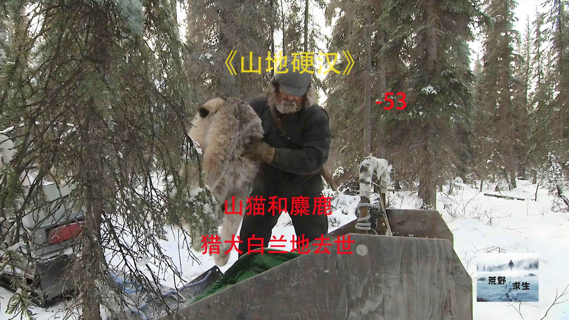 「皮斯科」(皮斯科和白兰地的区别)