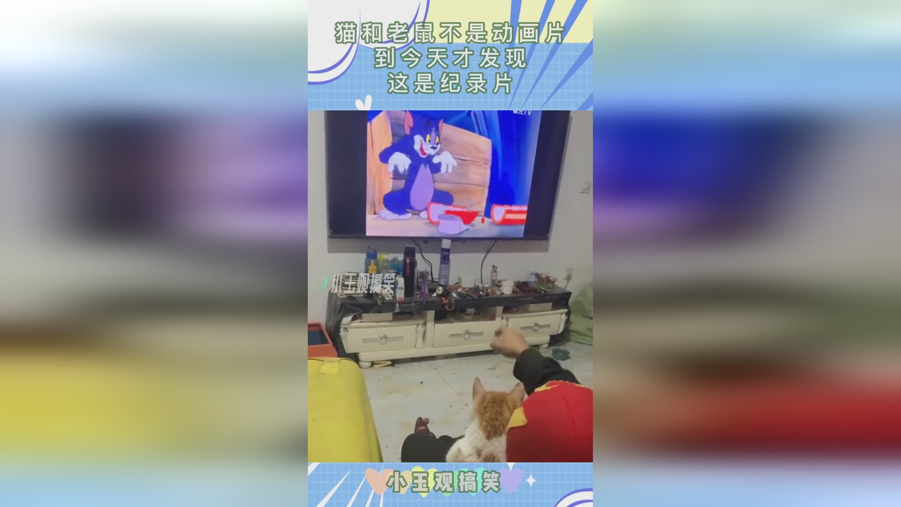 「519惨案」(519惨案纪录片)