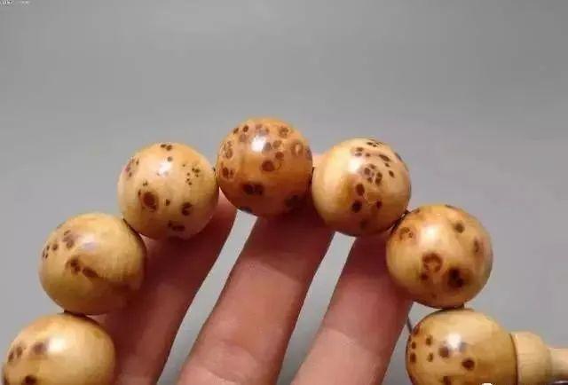「牛角」(牛角手串怎样盘玩和保养)