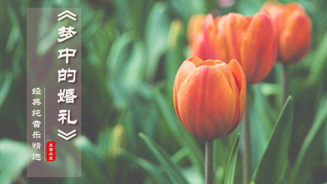 「克莱德」(克莱德曼钢琴曲简谱)