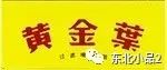 「金南一」(金南京香烟多少钱一包)