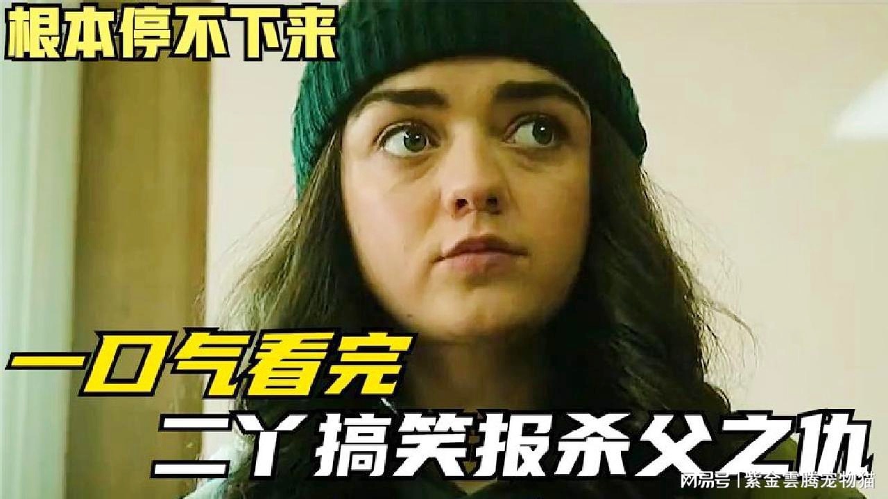 「北境之王」(北境之王楚锋苏婉小说)