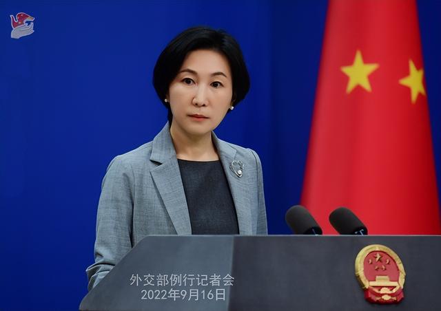 助理总经理：蠡中集团总裁兼首席执行官，生产和销售网络建设工作的议案