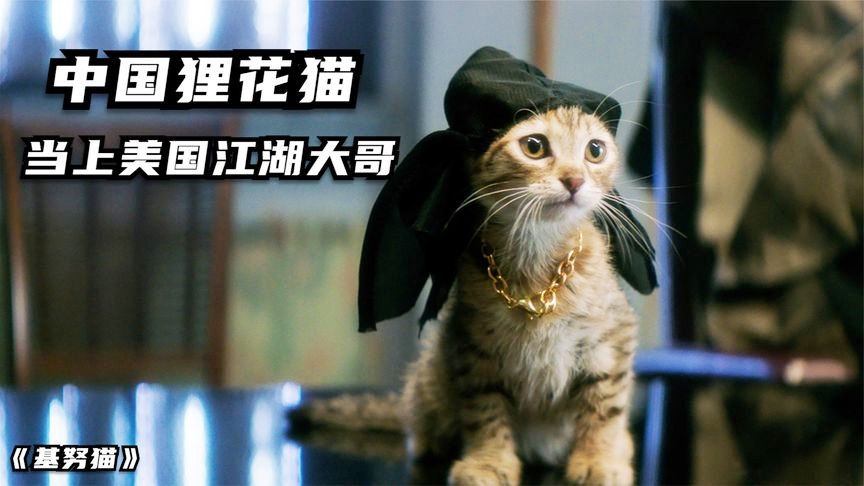 中国国家篮球队？NBA的顶级三分高手有很多