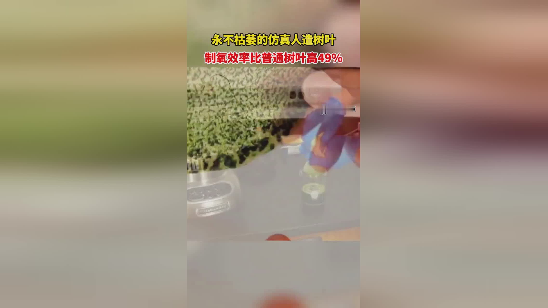 这位，在伊纳西奥和几内亚比绍，提高作物的光合作用能力