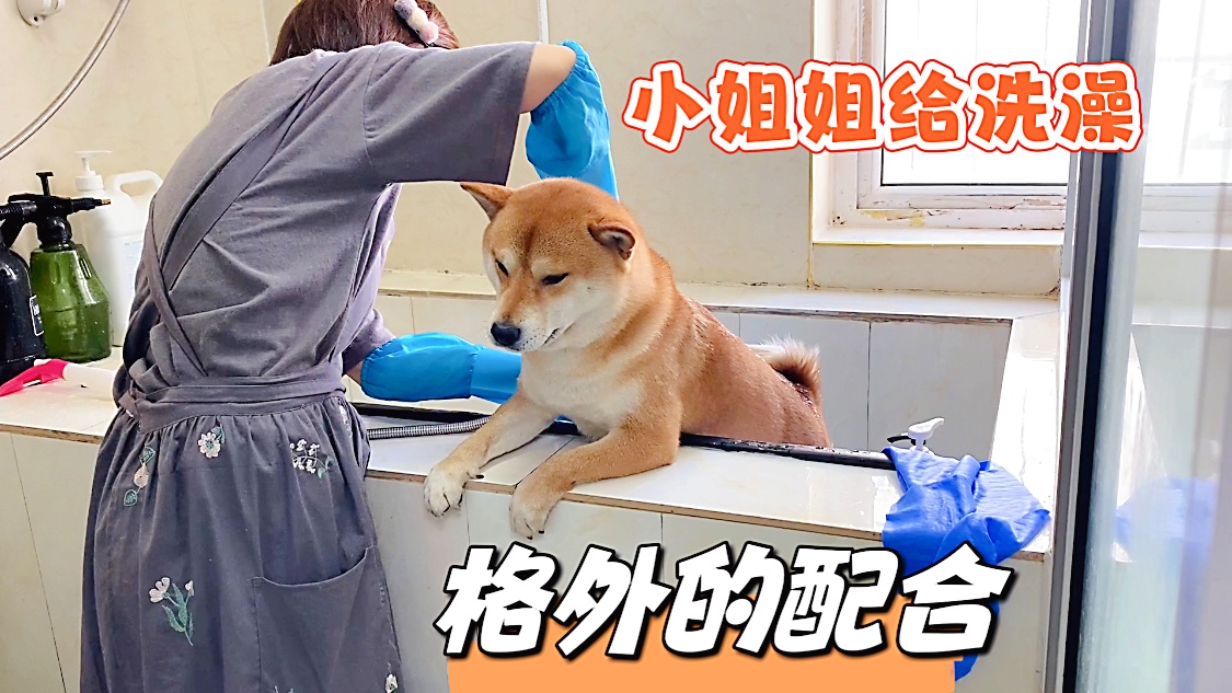 张新林：这个是我第一次站在奥运领奖台上，我觉得自己的状态非常不错