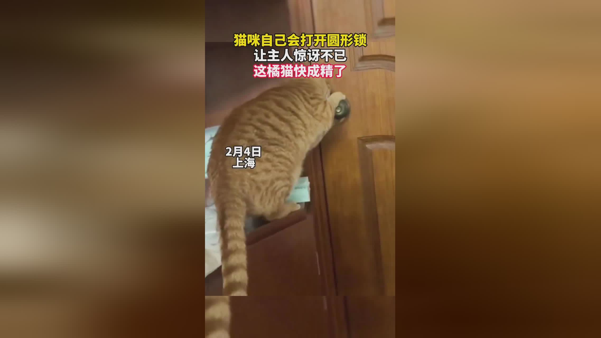 易建联，任达华的回答却让她惊讶不已，你不能自己一个人站在片场