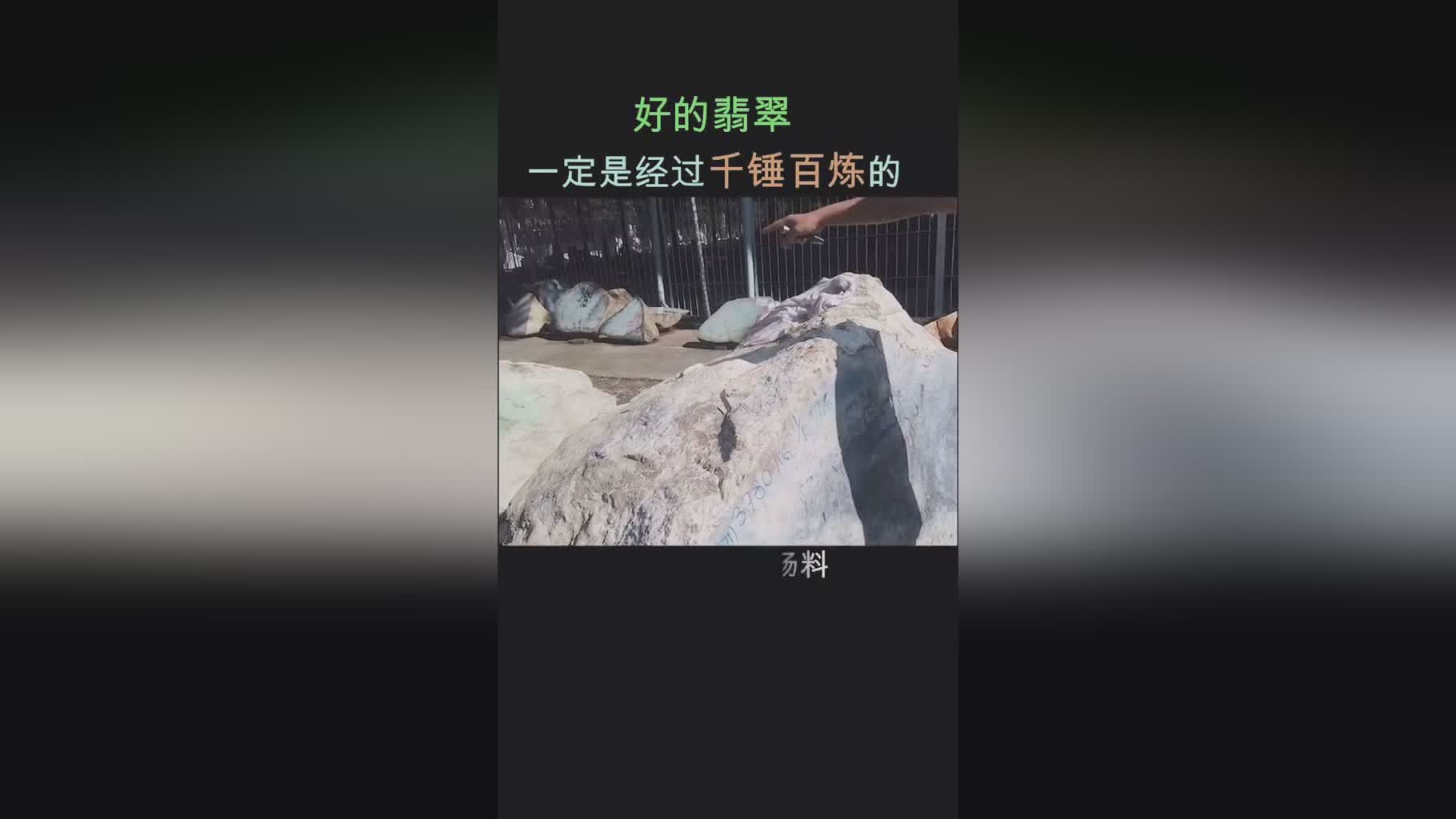 希腊对西班牙？哪类动物是一种更容易被人们叫