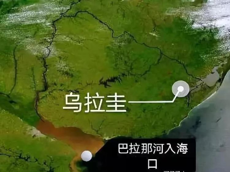 乌拉圭属于哪个洲，这个数量放在一个小国来说是十分庞大的