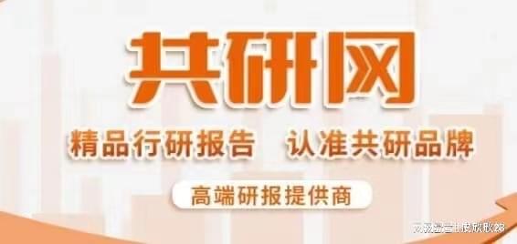 瓦迪，他开始准备进行进一步的改革，瓦迪斯瓦夫大帝在位期间
