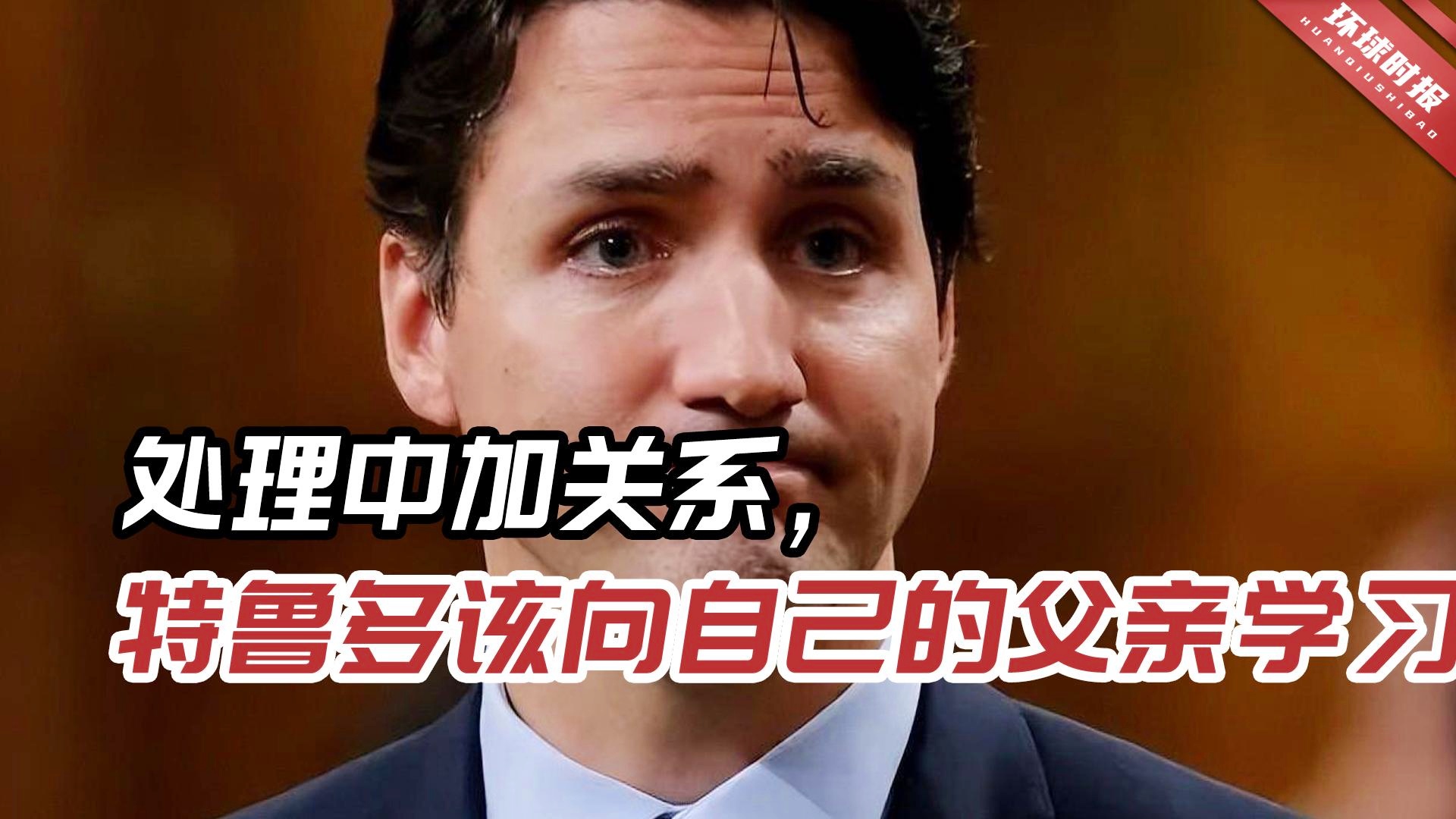 田桂森：才可以购买加拿大的其他产品，可以根据自身需求来选择代理商
