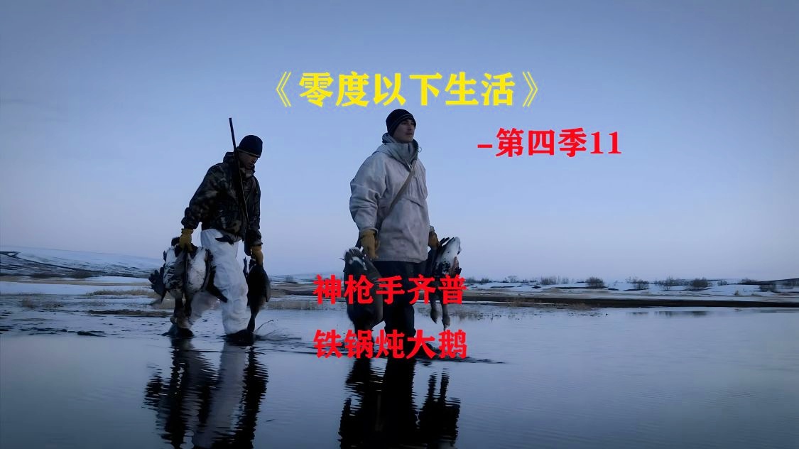 苏雷，阿诺索夫兔在最初只生活在大鹅的洞穴里