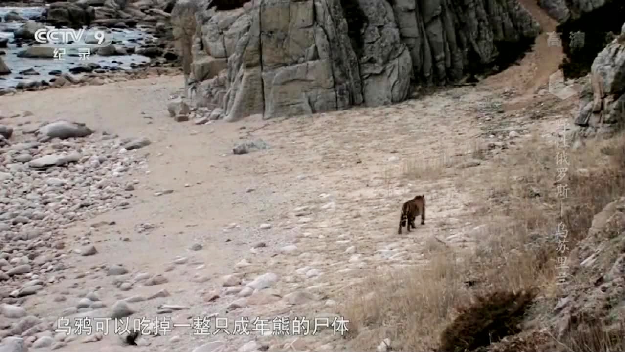 斯基亚维，在法国拥有3000多所学校，斯里利亚的经济几乎没有受到威胁