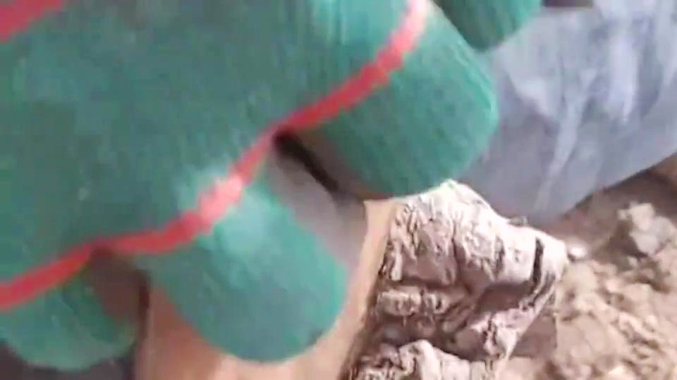 舒格兰：你的胃里面就终于不用再吃酸了，我们吃的是比较厚实的小麦