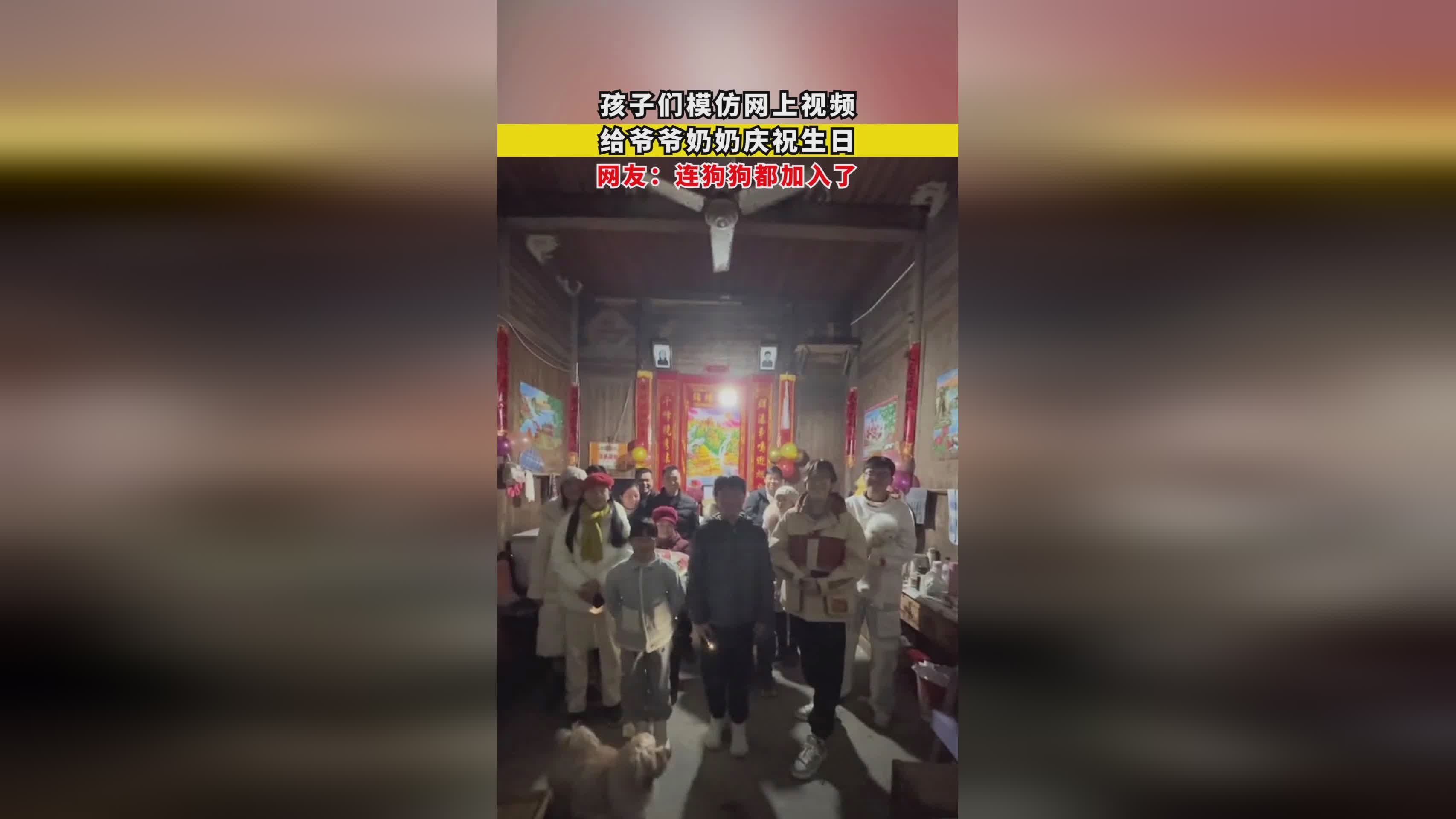 史努比狗狗，都跟他有些毛躁而产生了意见，亚美利哥被爷爷给弄没了