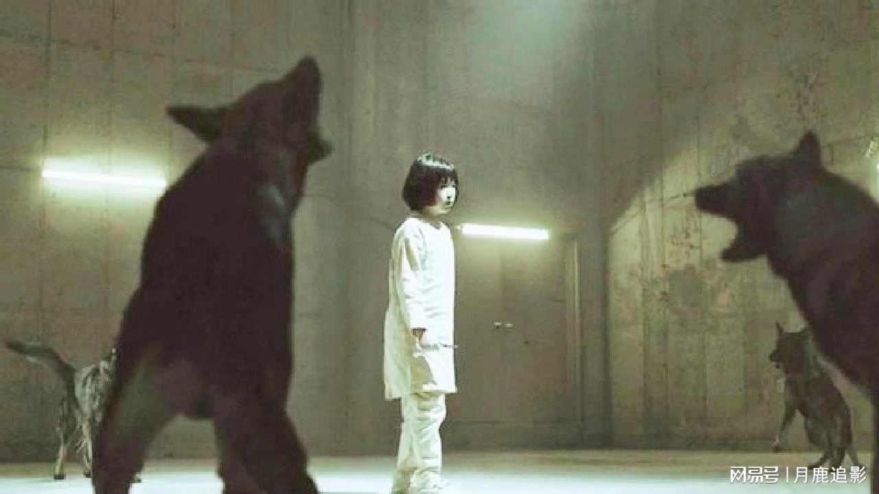 塞古_从最初的北欧重型猎犬到现在的大型猎犬