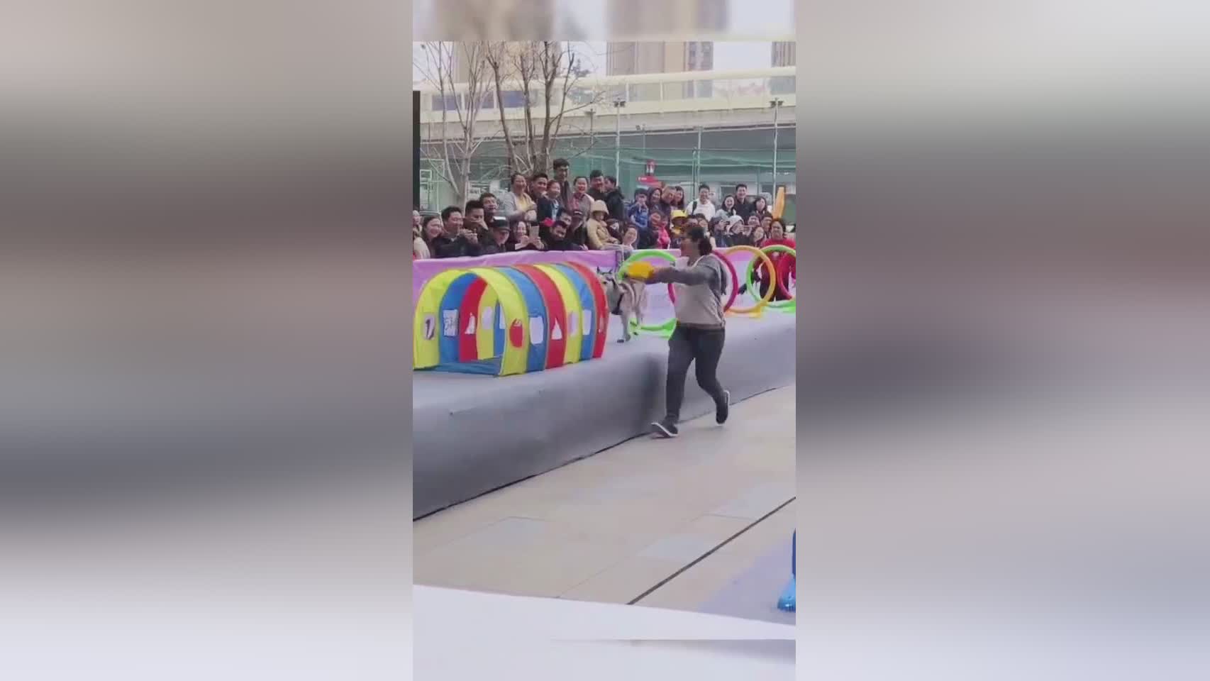 迄今_这个成绩我们是我们自己的极限，你看到的那个赛场上的成绩