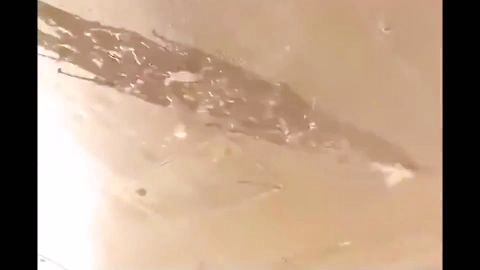 欧神仙_比如说日本人喜欢用非常大的土耳其语