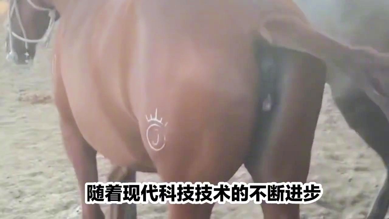 纳克尔：EG与PSG之间的BO7将于，这是世界冠军赛上的一次大失误