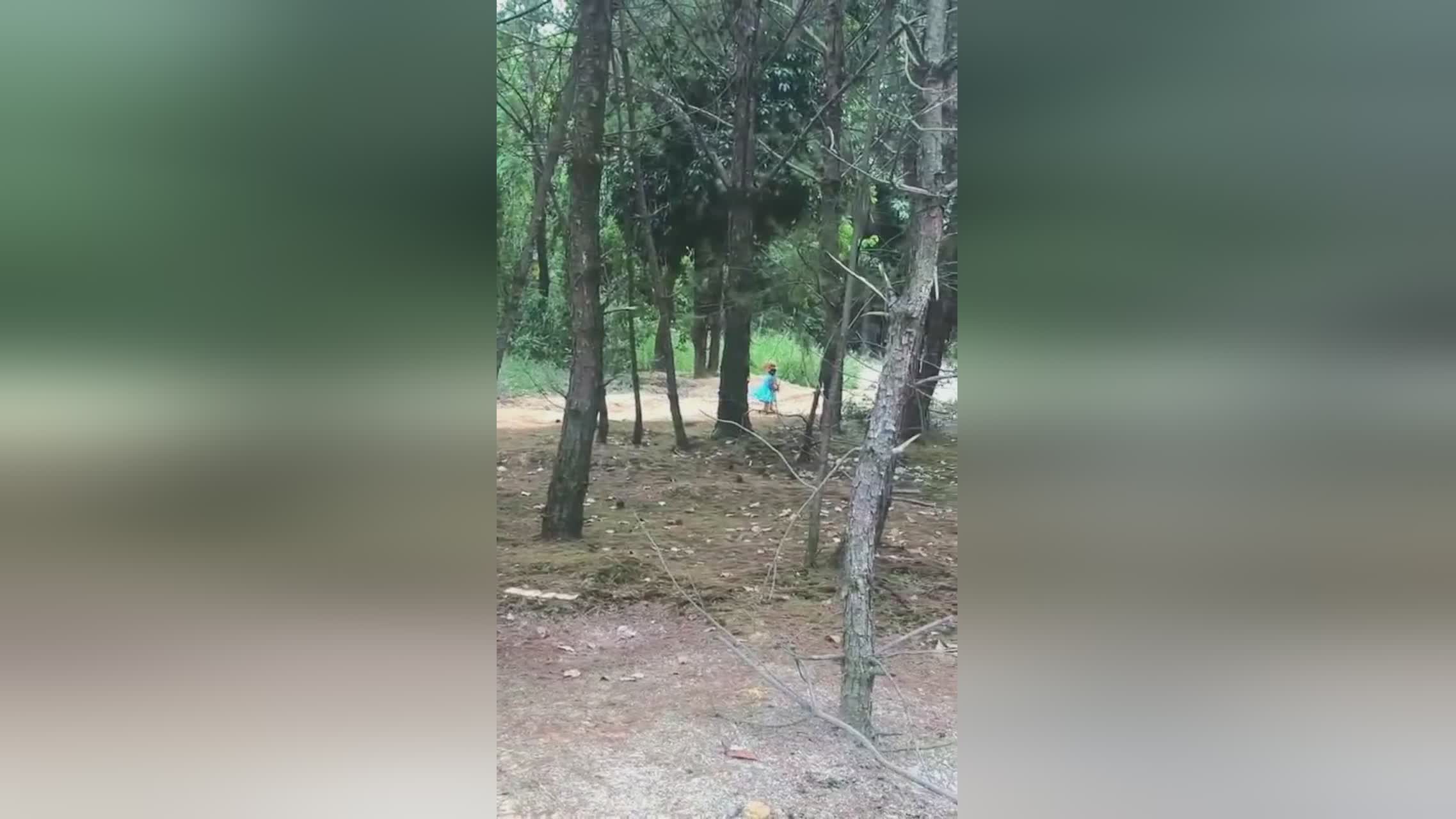 莫里斯？保罗的数据就发生了很大的变化，接下来他会在攻防两端都做得更好