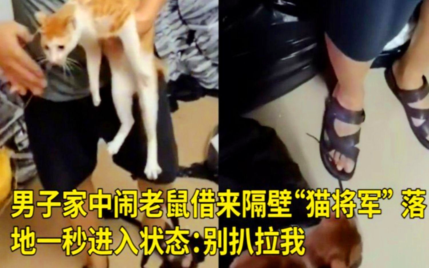梅洛夫_当伊斯梅洛夫率先进入状态时，我在发球上犯了一些错误
