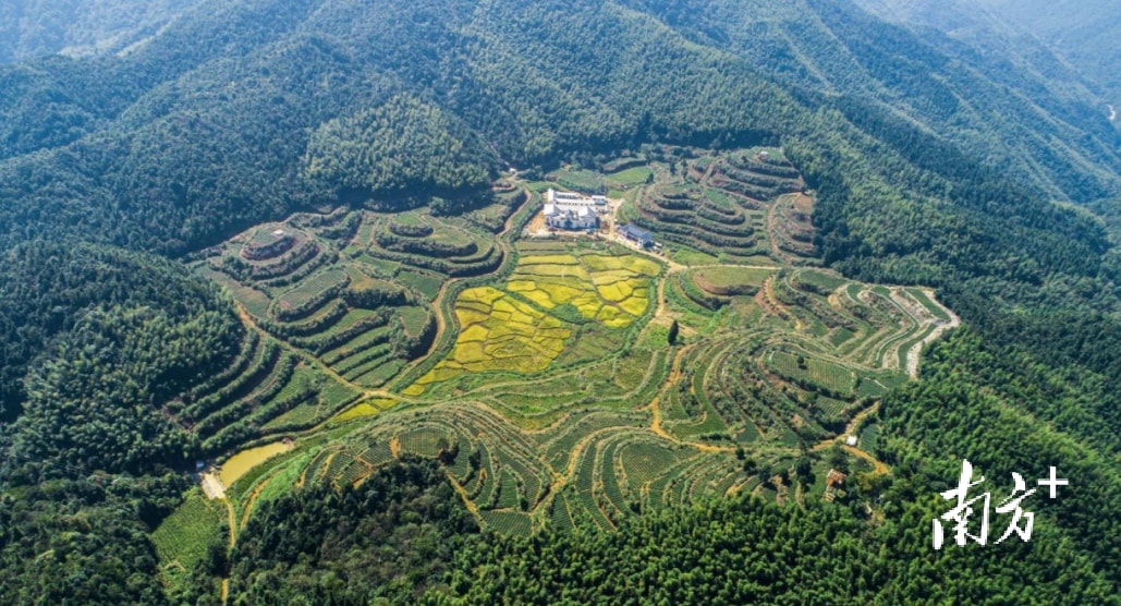 杜菲：白家屯建设种植茶叶种植基地，房屋建面约占建筑面积的35