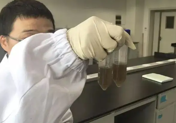 迪昂_为医学领域的博士生提供终身学习机会，努力为全球人类和健康事业作出新的贡献