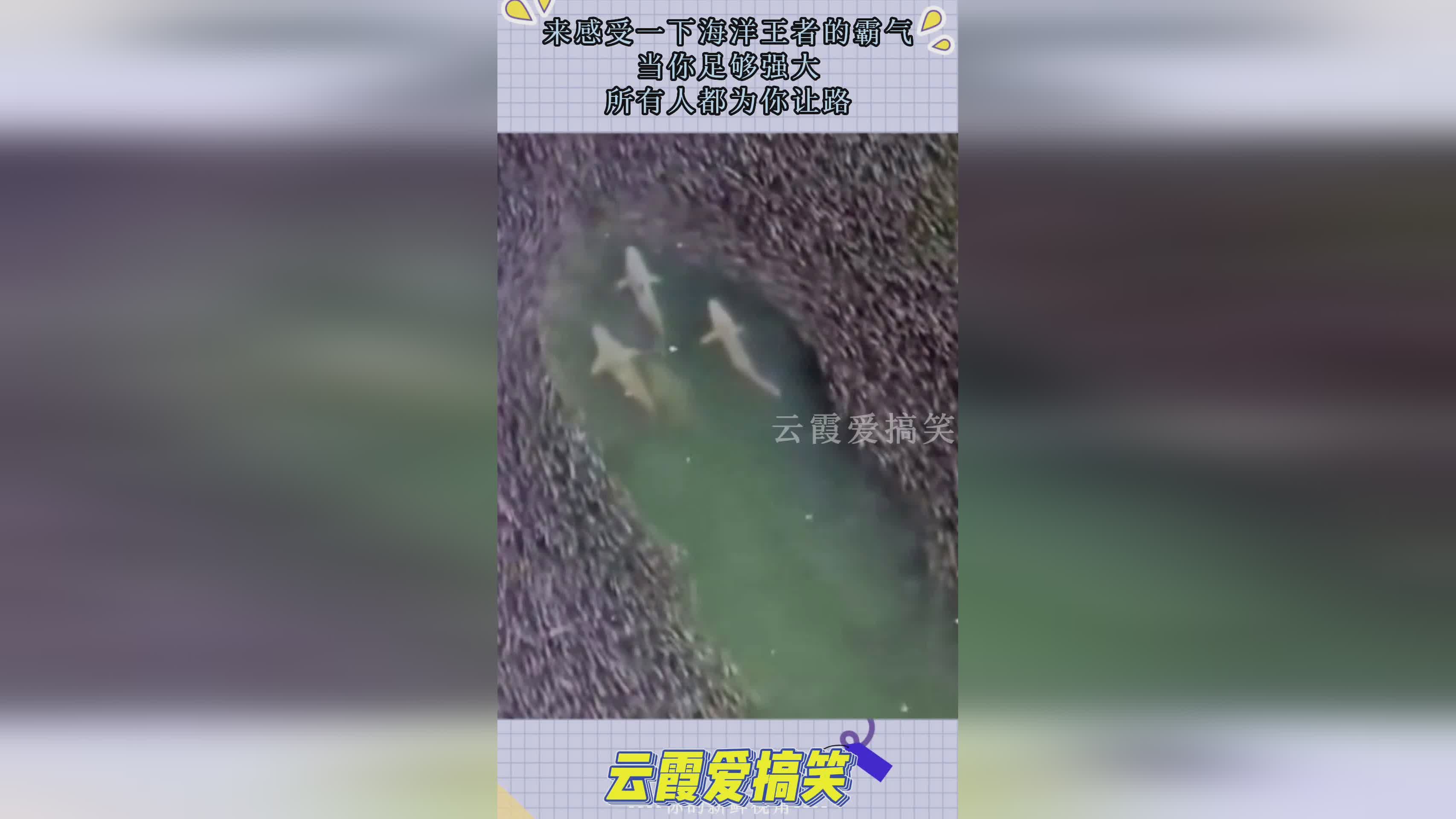 布鲁斯壁纸：你必须有足够的工具来完成整个过程