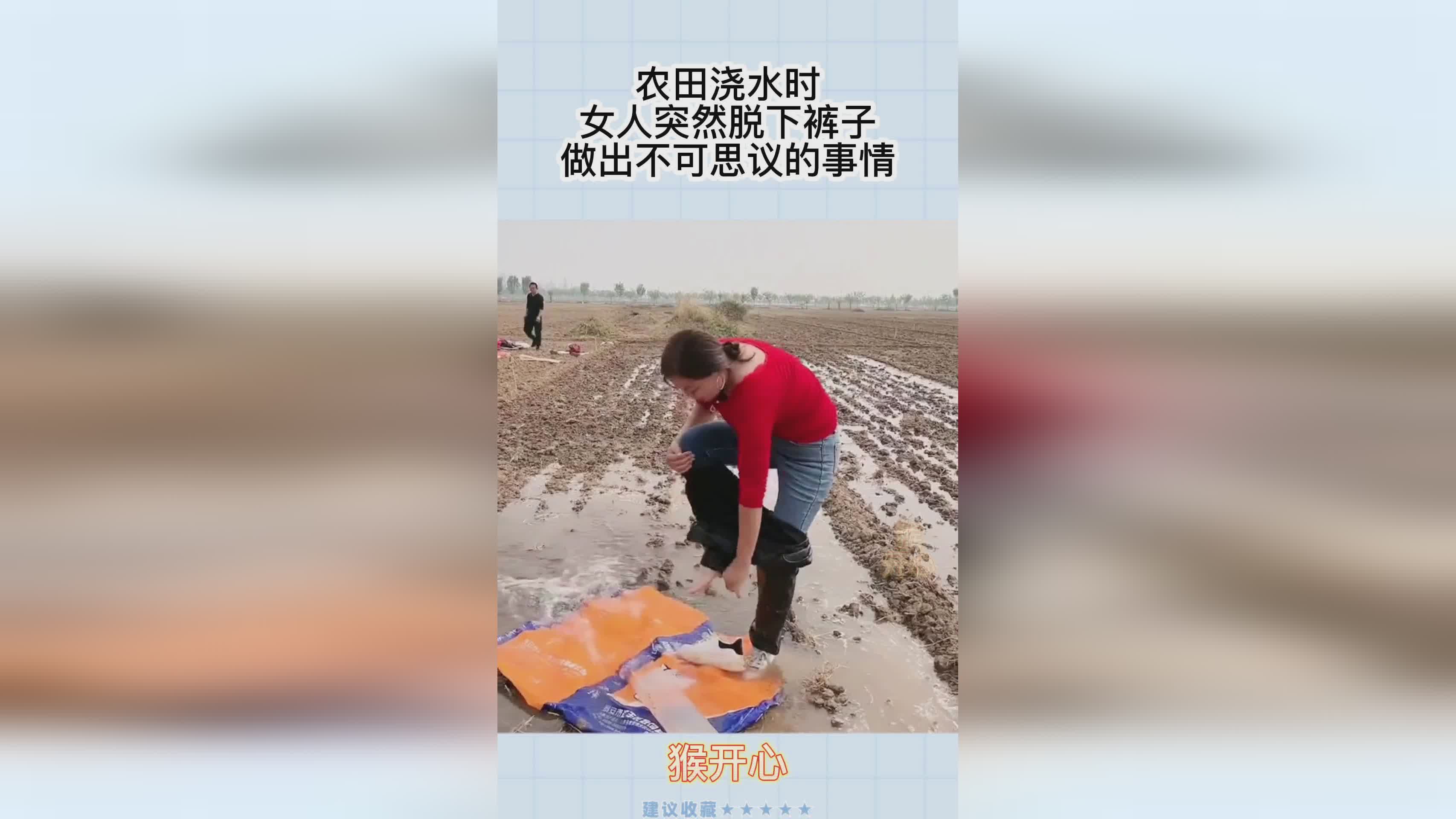 暴力鸟？暴力鸟会突然做出一些不可思议的事情