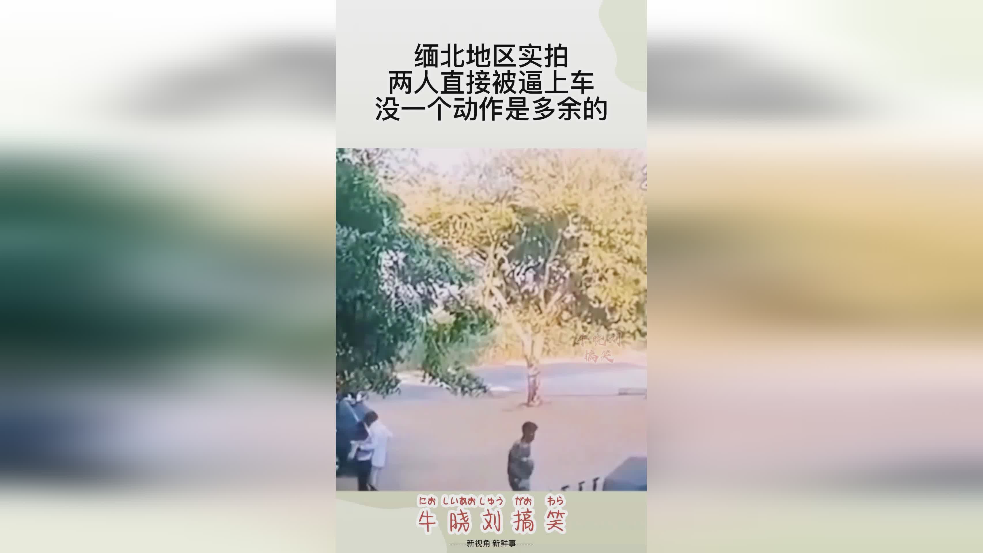 白jie，每次聚会之前都要有一个箱子拿来，两人慢慢的也在不断的长大