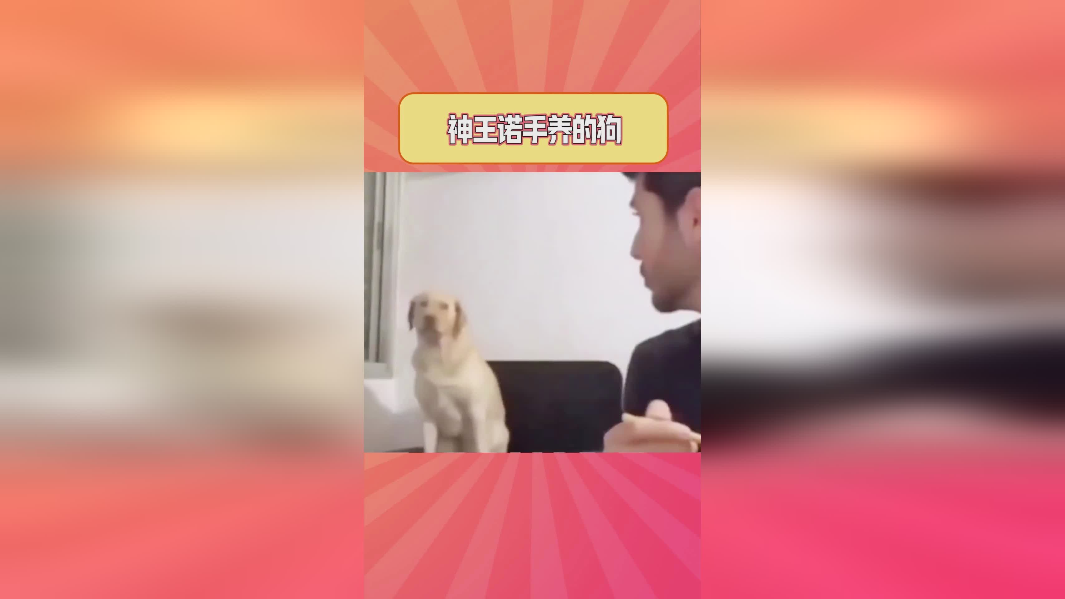 埃尼斯，埃尼斯enes做什么工作，关于里昂·费里的新型冠状病毒测试