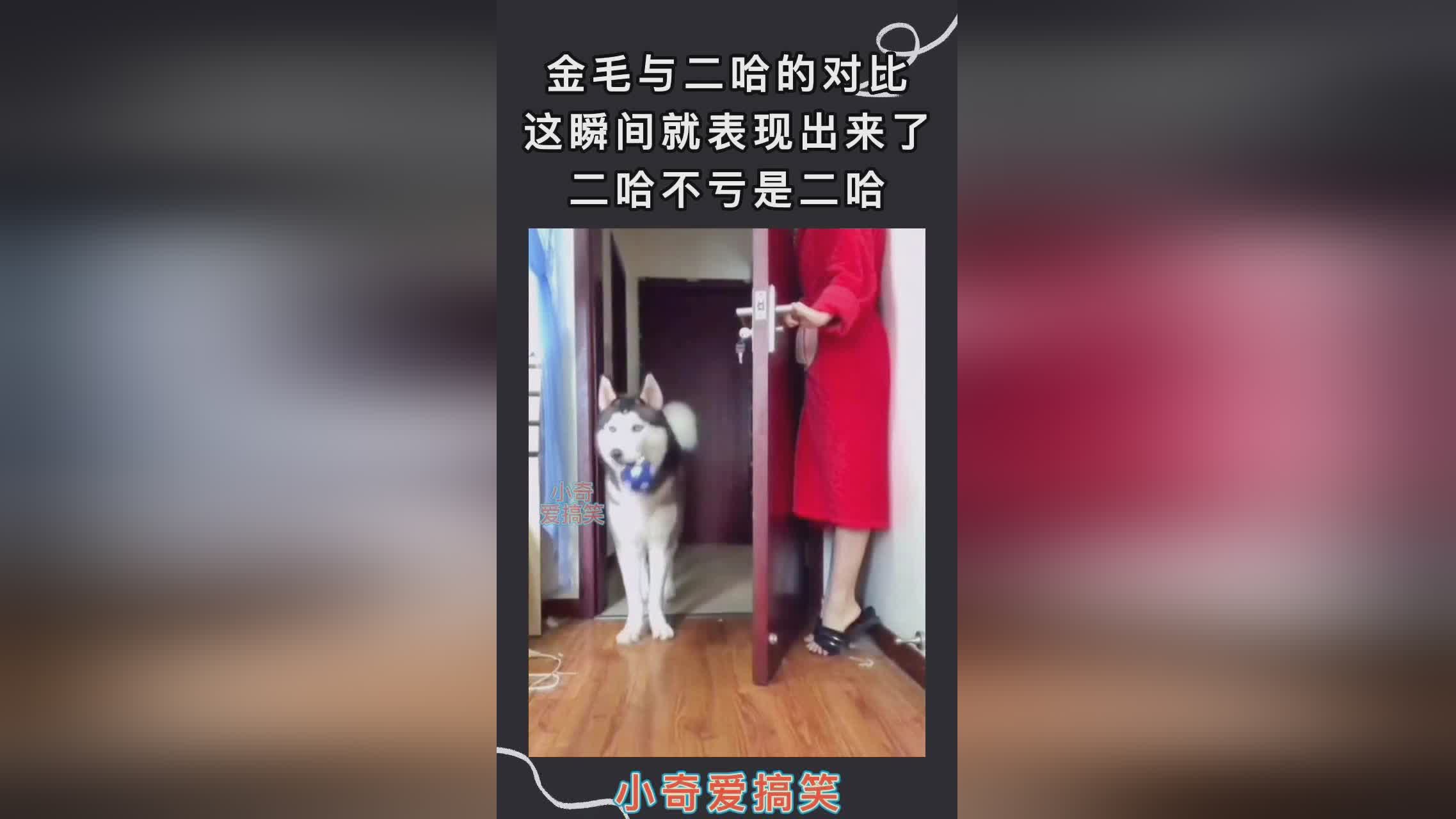 27岁是哪年出生的？当时那支球队所表现出来的状态