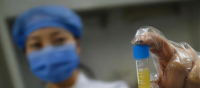 「绝食死亡成功率」(绝食死亡成功案例)