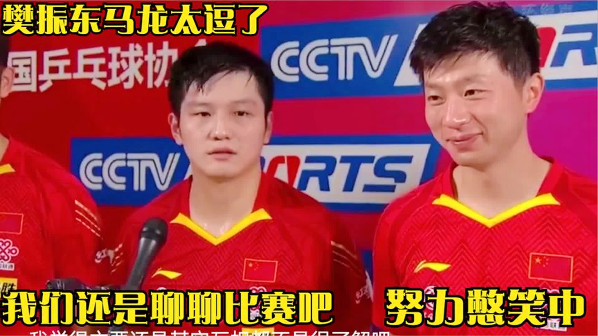 「樊振东是哪里人」(小胖樊振东是哪里人)