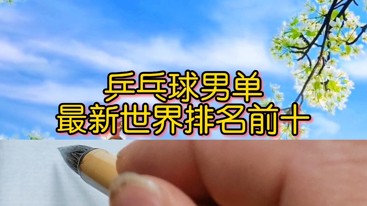 「乒乓球男单世界排名」(乒乓球十大排名)