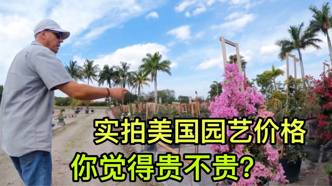 「美国佛罗里达」(美国佛罗里达大学怎么样)