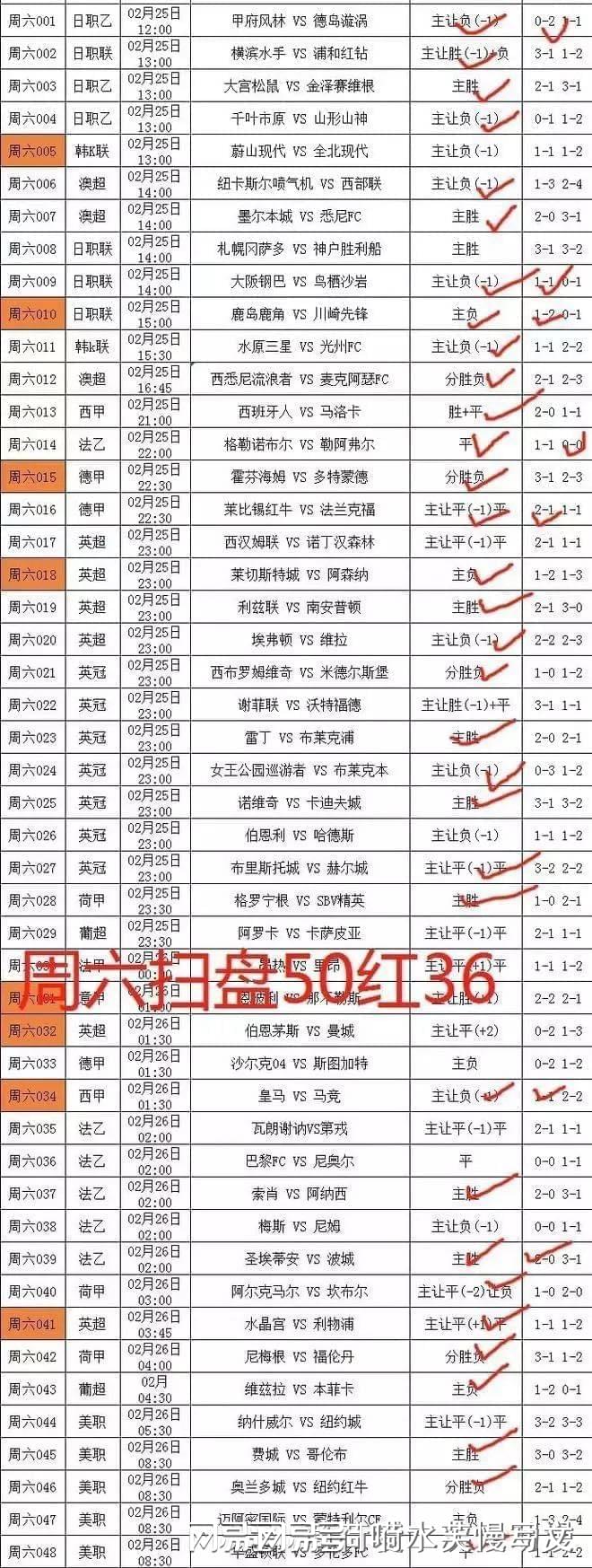 「波兰队VS瑞典队」(波兰队vs瑞典队比分预测)