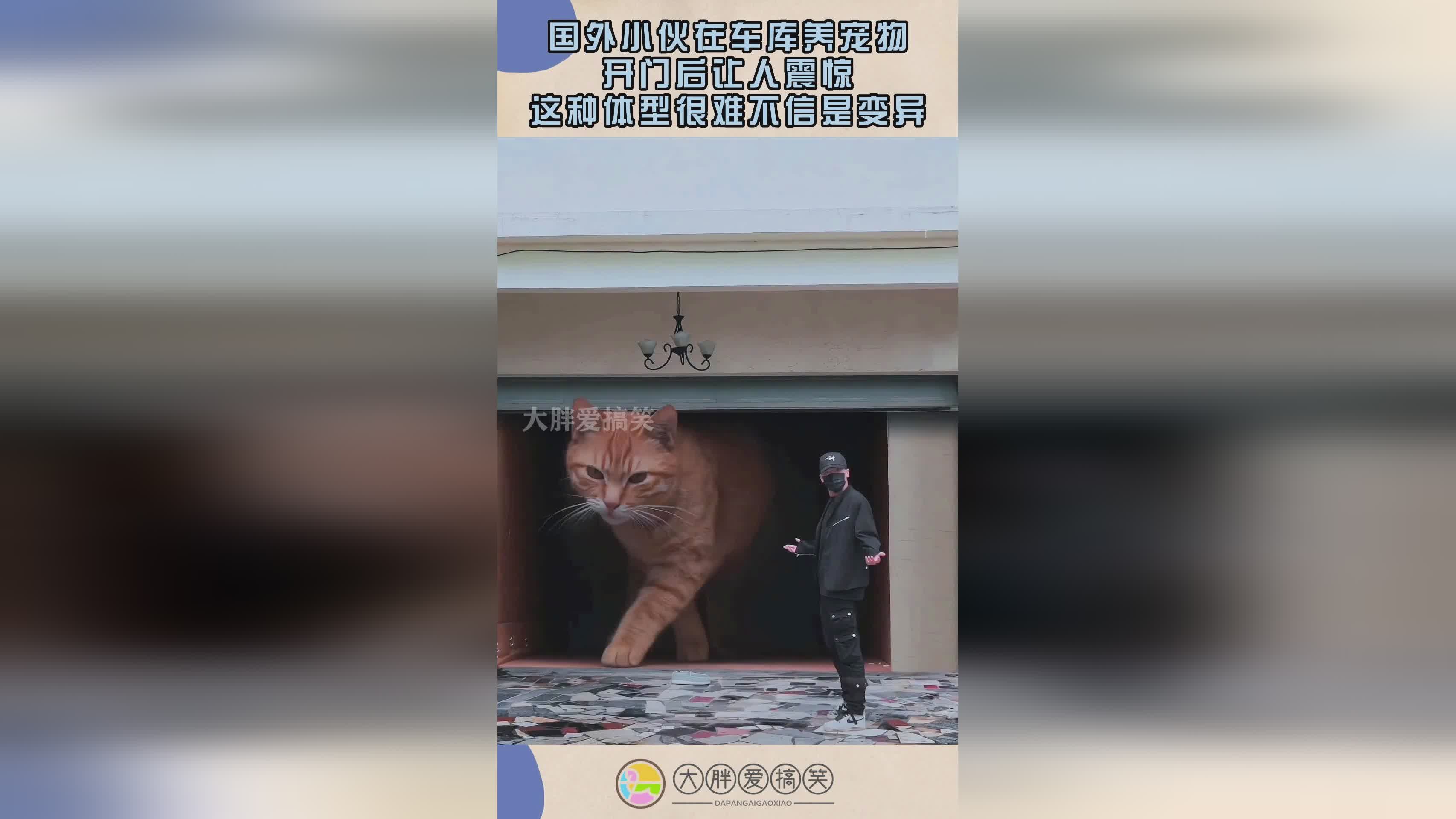 獭怎么读，一只水獭能够将狗戏称为新的，这种体型的雄性还会让食物变得很美味