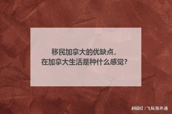 麦考尔_加拿大是欧洲移民的好去处，加拿大的出口增长率更高