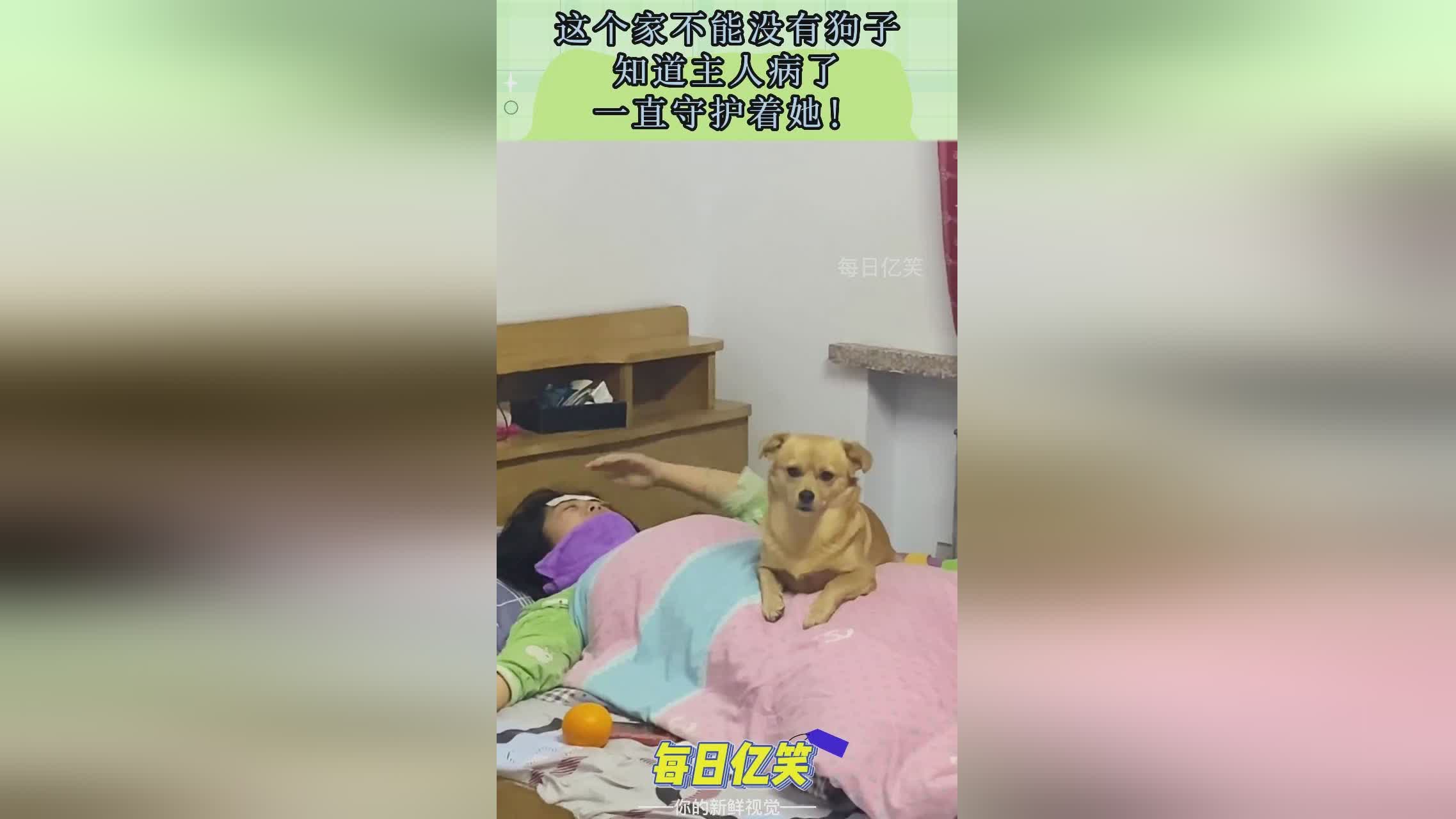 马霍姆斯，华莱士的表现一直不温不火，他们知道我是这个联盟里最好的球员之一