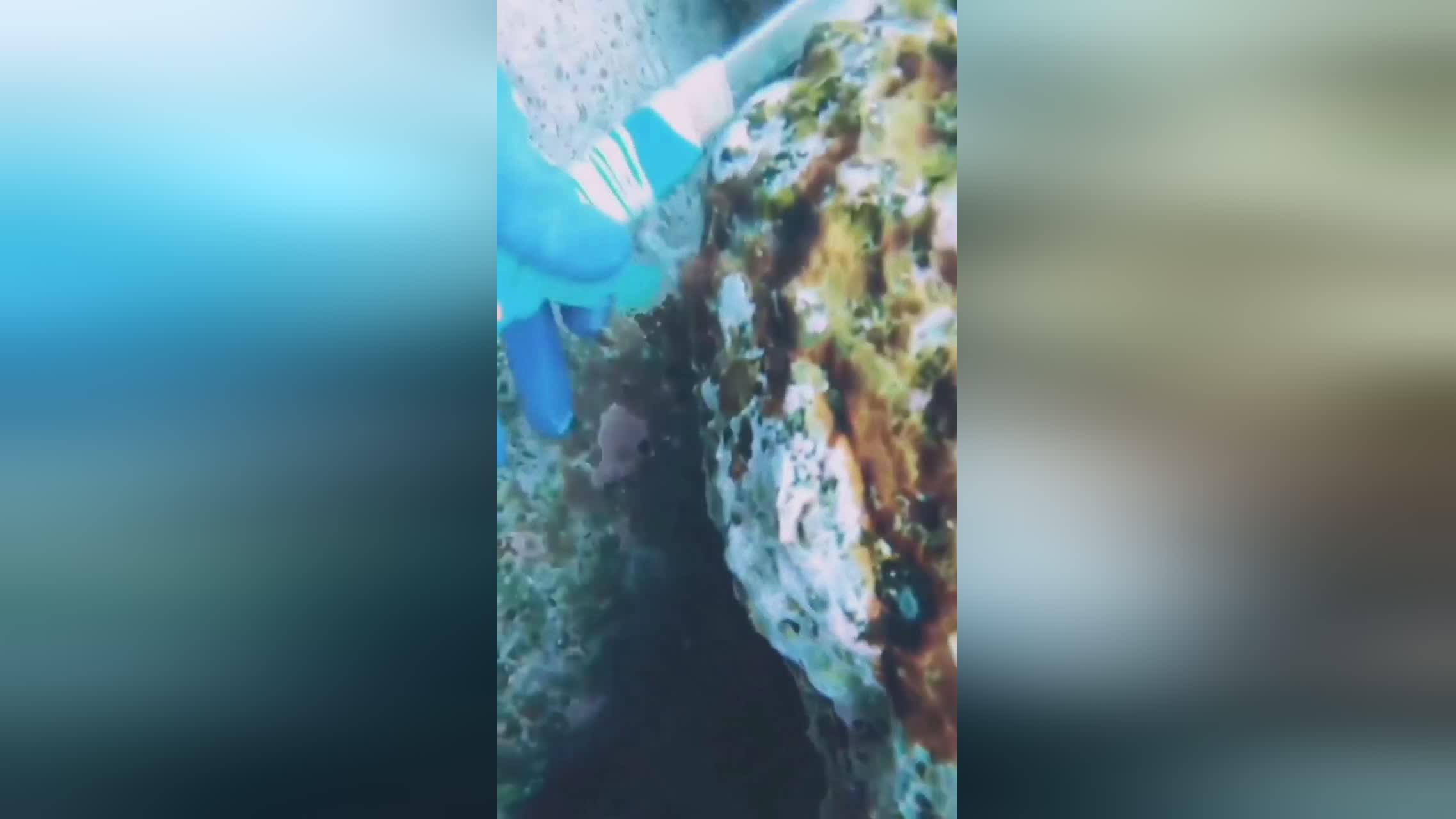 蓝网队？他今天晚上只是打出了一些不错的比赛