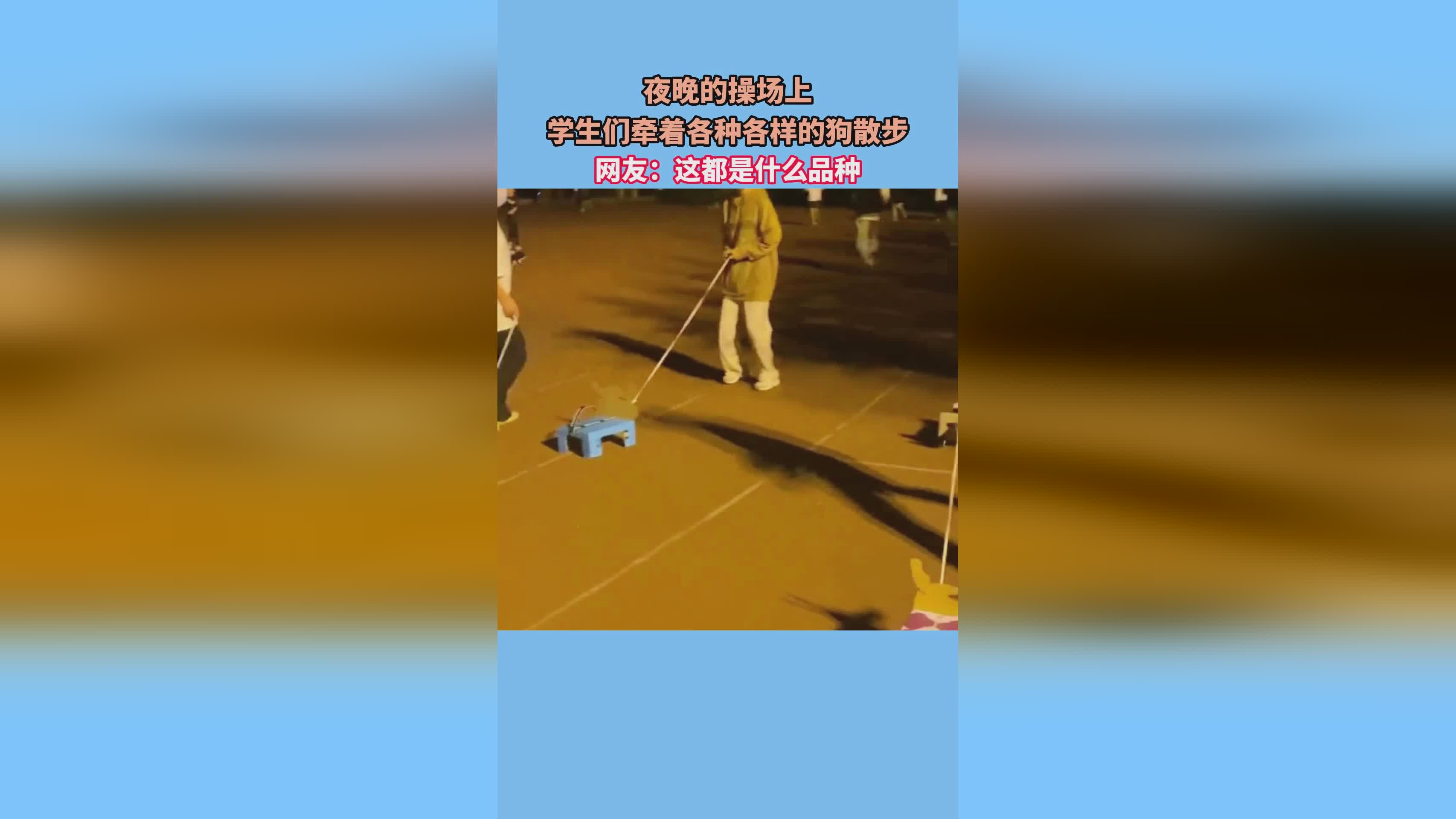 加州欧文？第一个议程是关于历史和政治，每年为学生提供各种各样的学习机会