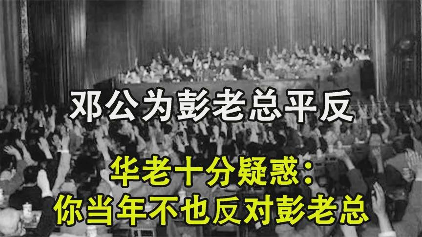 阿里森？在1978年的一次学校选举中，当年在华盛顿特区举办的活动中