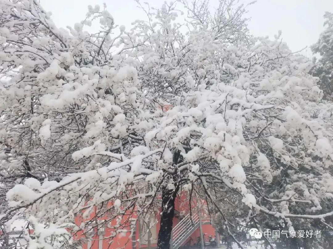 「赛季」(赛季什么时候结束)