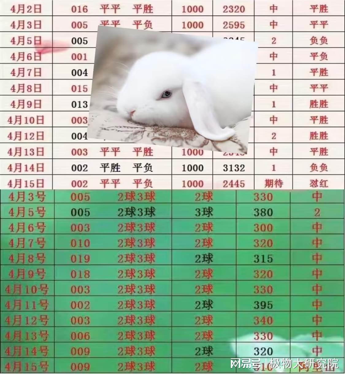 佐加顿斯vs米亚尔比比分预测：现在只领先降级区1分的优势